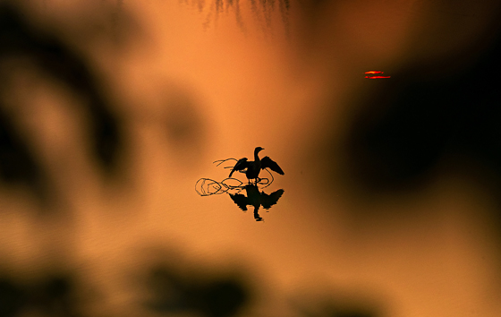 Лучшие фото недели