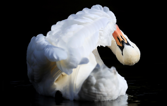 Фотохроника 6 ноября