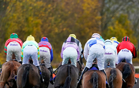 Фотохроника 12 ноября