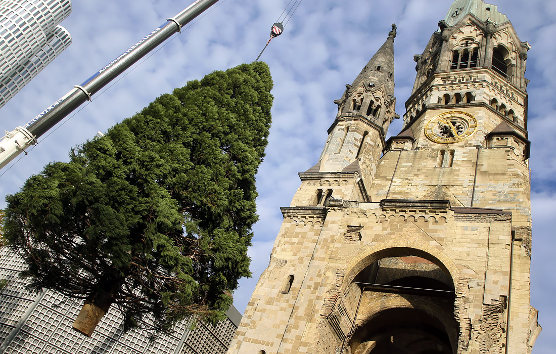 В Берлине перед Мемориальной церковью кайзера Вильгельма установили 22-метровую рождественскую ель