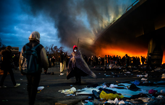 Фотохроника 17 ноября