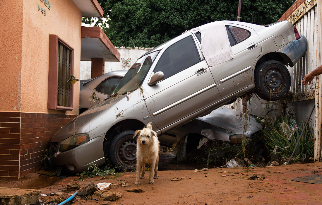 В Венесуэле река Карапо вышла из берегов из-за сильных проливных дождей. В результате сотни семей лишились крова.