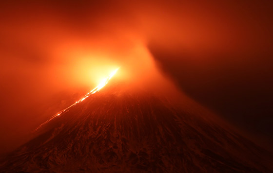 Фотохроника 20 ноября