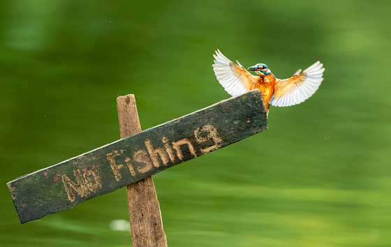 Лучшие фото недели