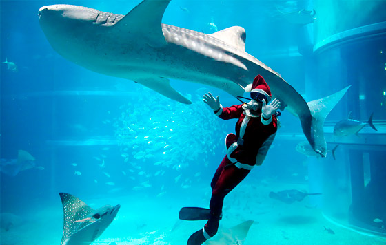 Лучшие фото недели