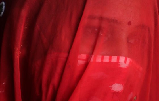 Фотохроника 27 ноября