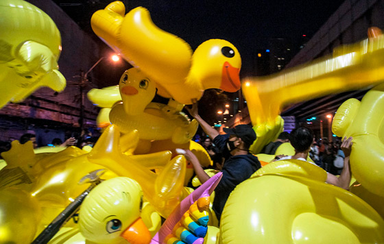 Утки стали символом протестов в Таиланде