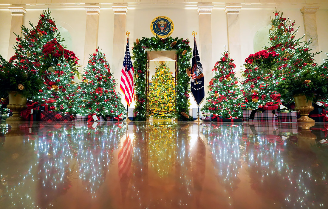 Главная рождественская ель, привезенная в этом году в Вашингтон из штата Западная Вирджиния, размещена в Голубой комнате Белого дома