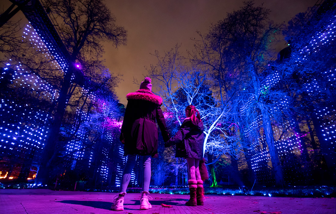В Лондоне открылись рождественские световые инсталляции в Королевских ботанических садах Кью