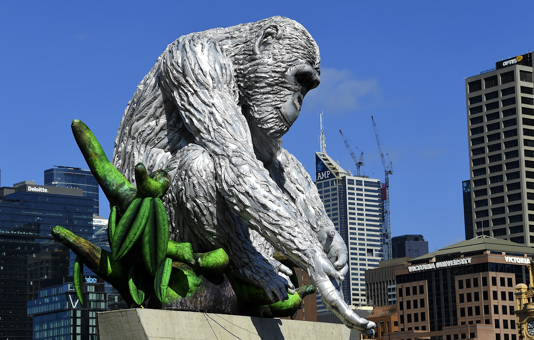 У Центра искусств в Мельбурне установили скульптуру шимпанзе Дэвида Седобородого работы Лизы Роет