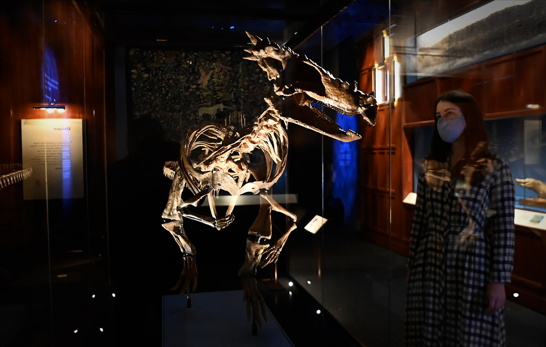 В Музее естественной истории в Лондоне открылась выставка под названием "Фантастические твари"