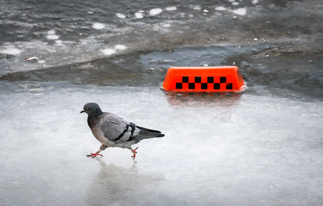 Москва-река начала замерзать из-за морозной погоды на большей части Европейской территории