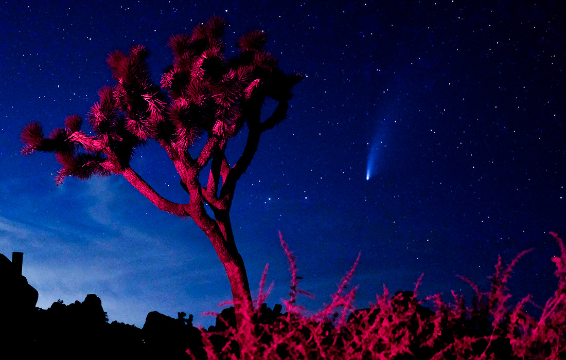 В июле жители Земли могли наблюдать на небе самую яркую за последние семь лет комету, которая была обнаружена 27 марта 2020 года с помощью телескопа Neowise