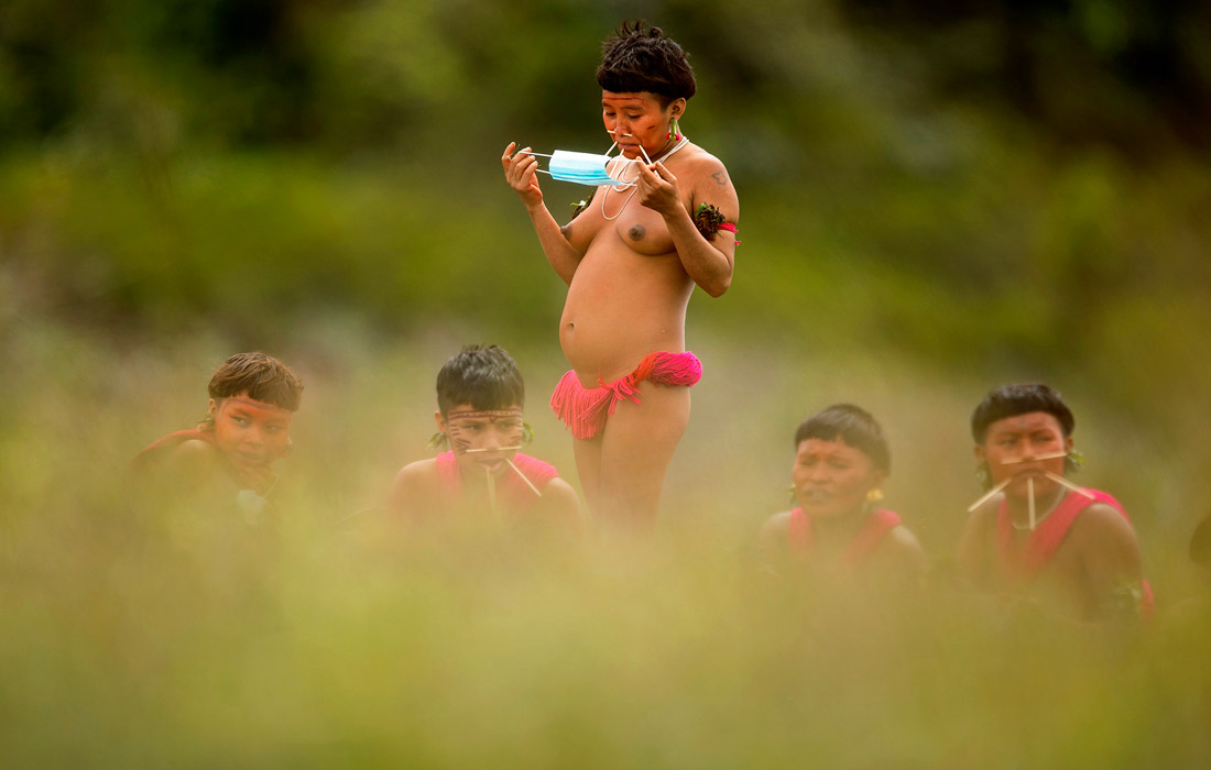 В начале июля вирус COVID-19 добрался до представителей коренного населения Амазонии и унес жизни четырех представителей племени Яномами, которые были изолированы от современной цивилизации.