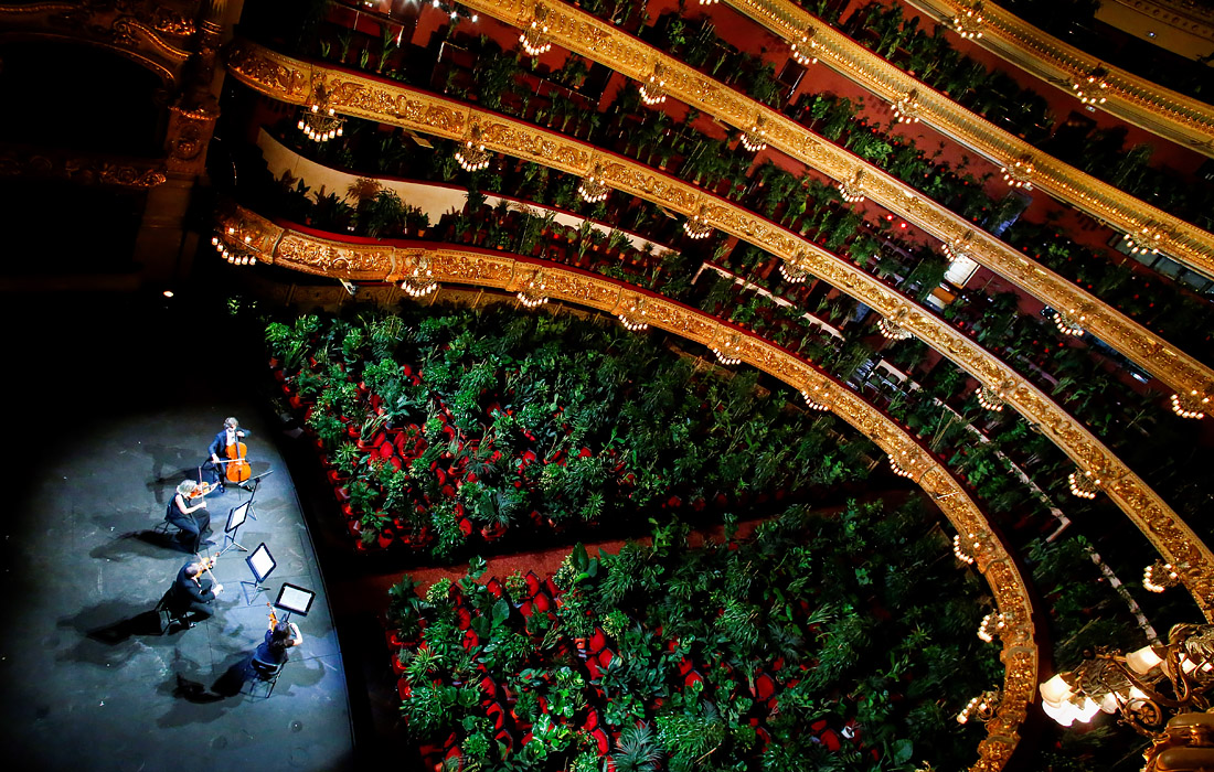 22 июня. В оперном театре "Лисео" в Барселоне струнный квартет выступает перед саженцами, которые затем подарят работникам клинической больницы города.