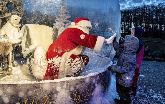 Пандемия 2020