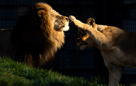 Фотохроника 18 декабря