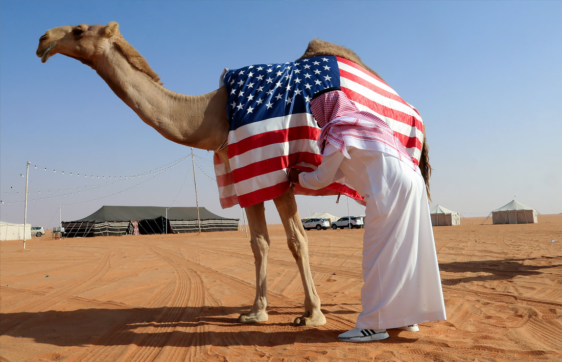 В Саудовской Аравии проводится национальный фестиваль верблюдов