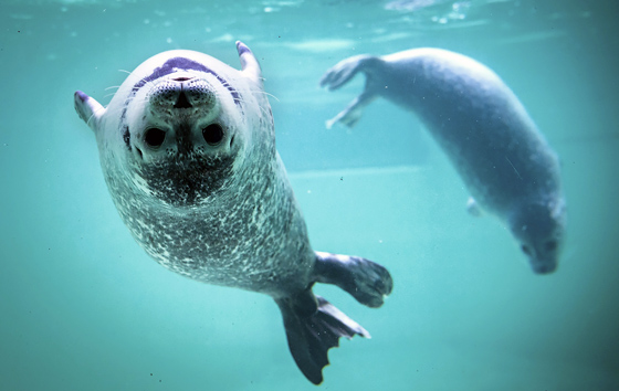 Фотохроника 28 декабря