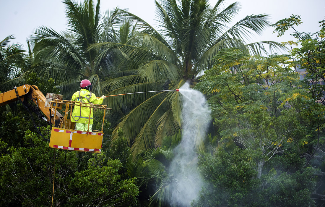 Садовник распыляет пестициды на деревья в провинции Хайнань, Китай