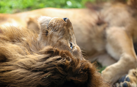 Лучшие фото недели