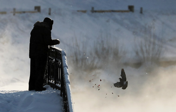 Фотохроника 22 января