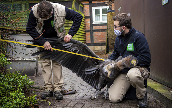 Фотохроника 28 января