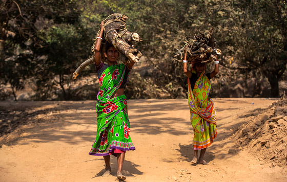 Фотохроника 29 января