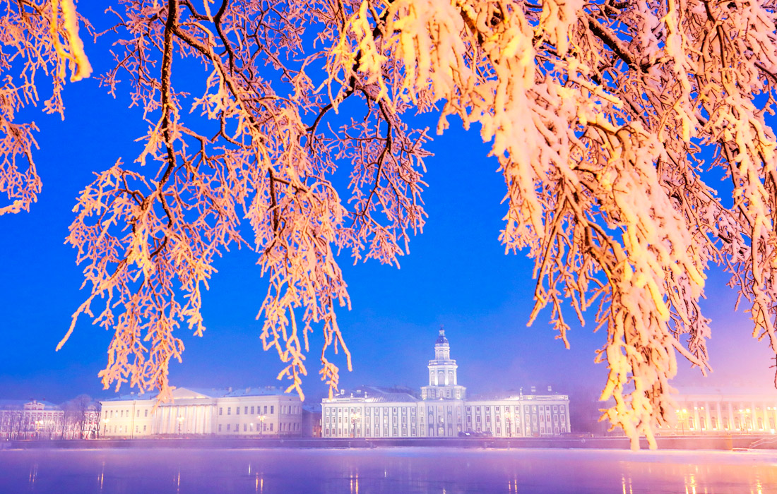 Вид на здание Музея антропологии и этнографии имени Петра Великого РАН