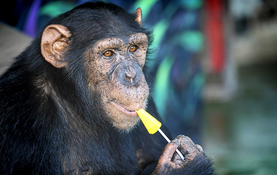 Фотохроника 15 февраля