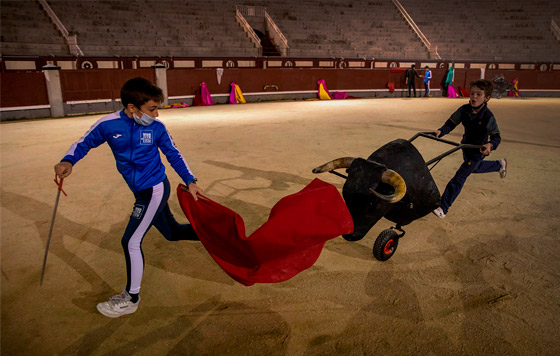 Школа будущих тореадоров