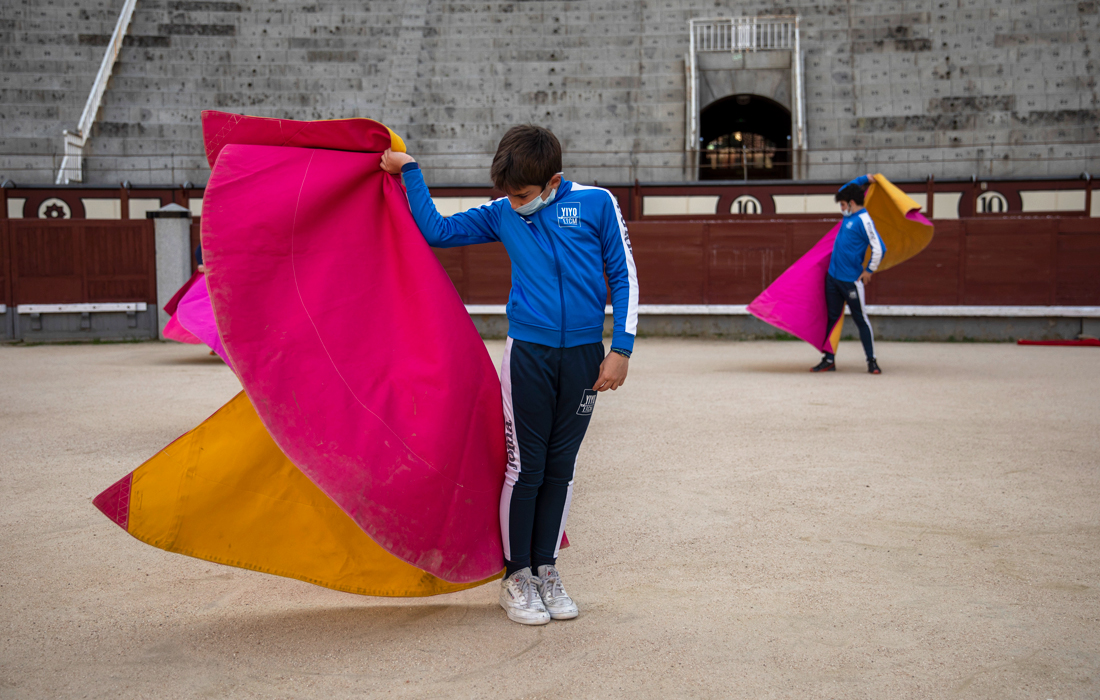 Ежегодно зоозащитники устраивают акции протеста против издевательства над быками и убийства животных во время боев