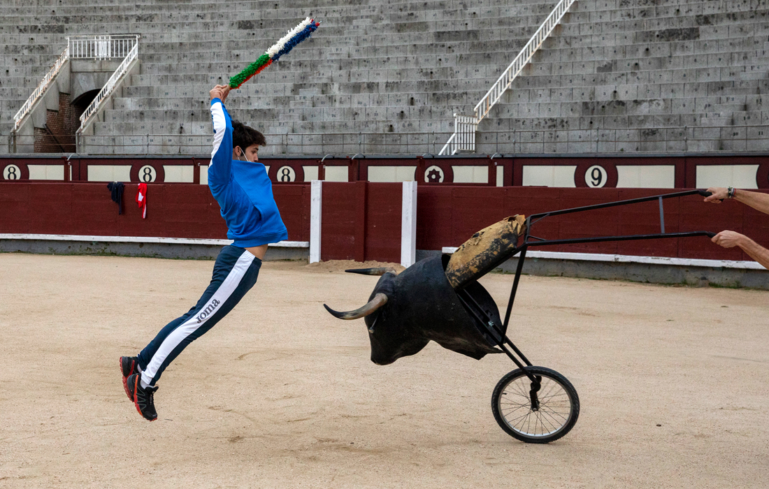 Во время тренировок используются специальные тренажеры с макетом головы быка