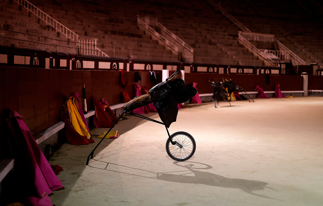 С 2013 года коррида признана культурным и историческим наследием, которое государство "должно охранять и пропагандировать"