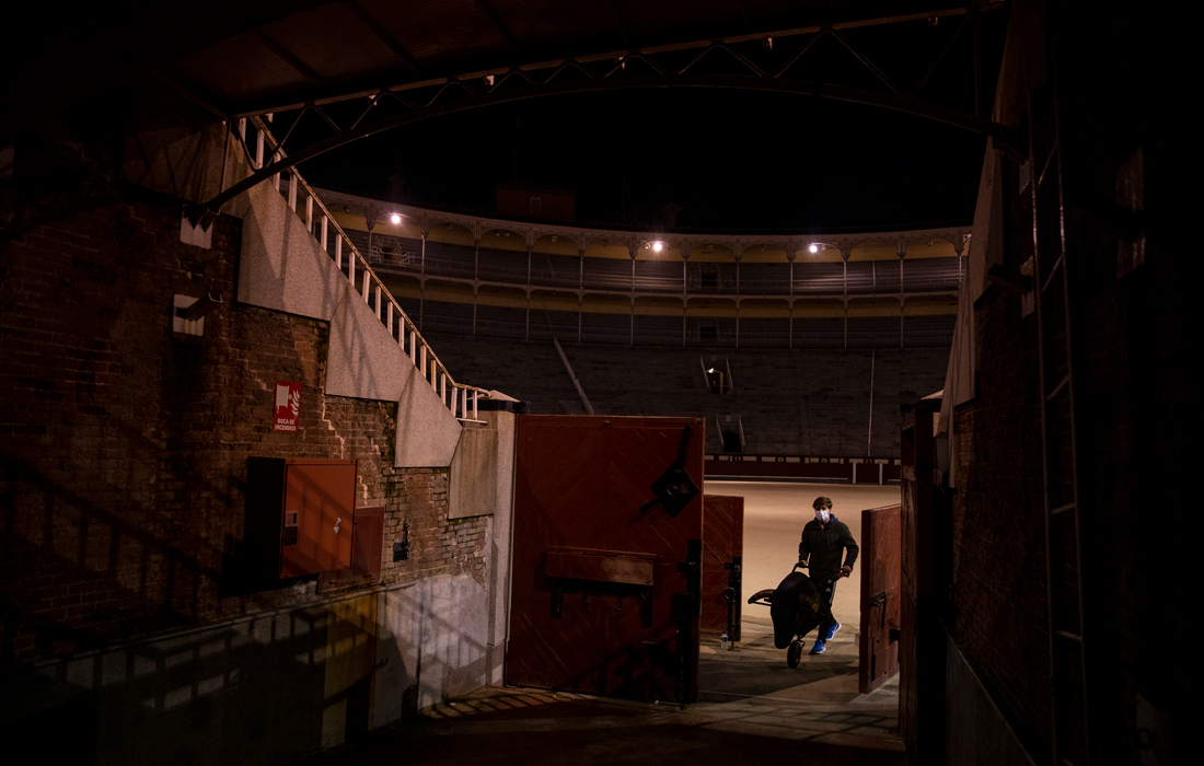 Таким образом, коррида получила защиту от попыток некоторых политических партий и части общественности добиться запрета боя быков как зрелища, несовместимого с этикой и моралью