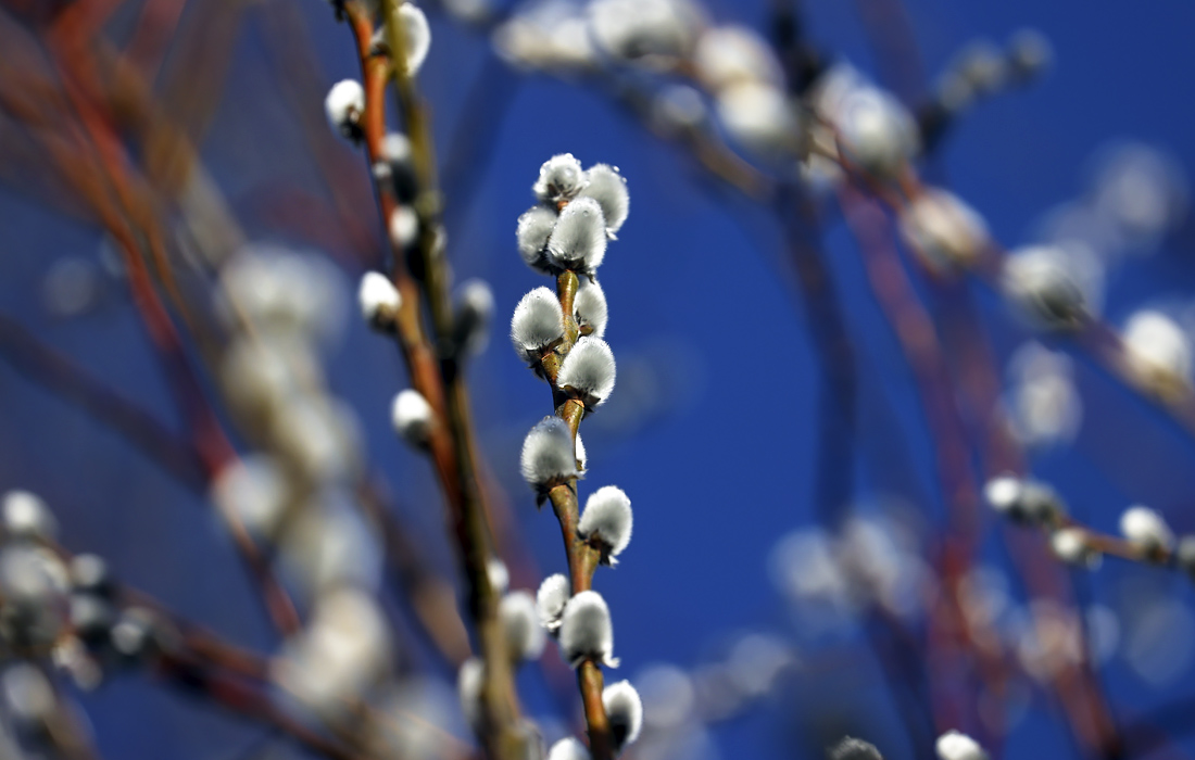 Оттепель в Баварии, Германия