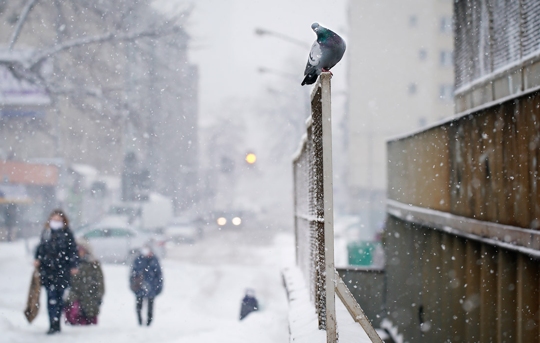 Снегопад в Варшаве
