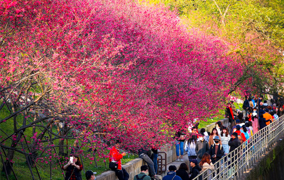 Фотохроника 18 февраля