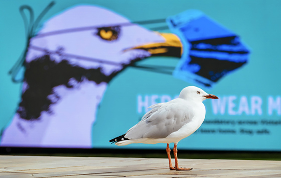 Фотохроника 19 февраля