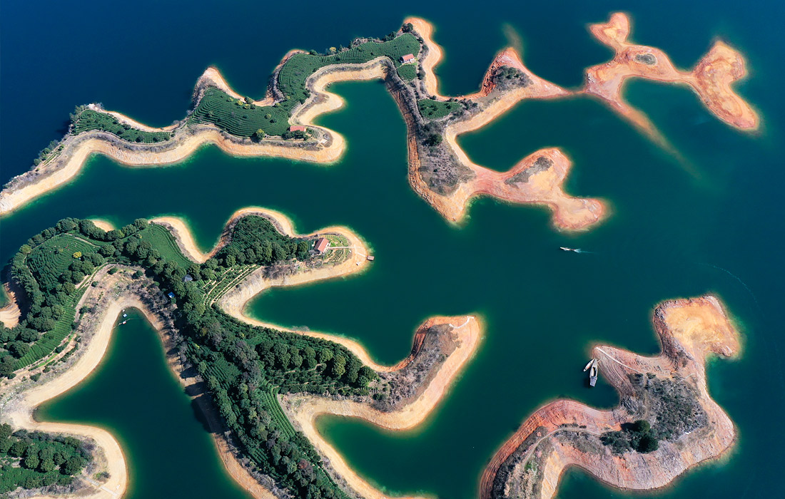 Чайные плантации посреди озера Цяньдаоху в Китае