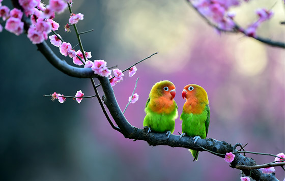 Фотохроника 20 февраля