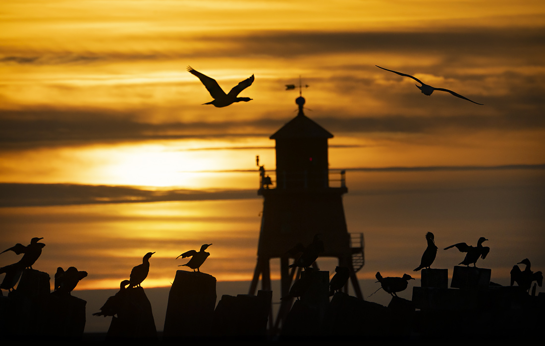 Закат в британском Саут-Шилдс