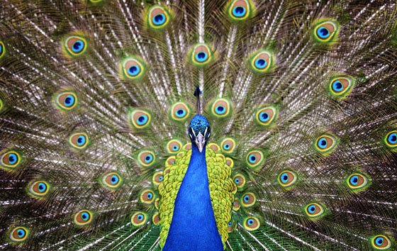 Лучшие фото недели