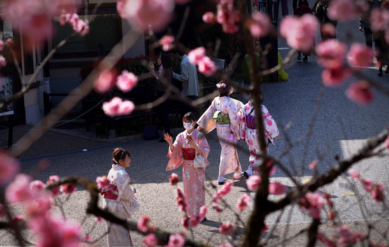 Фотохроника 15 марта