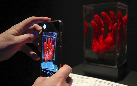 Анатомическая выставка "Мир тела" в Москве