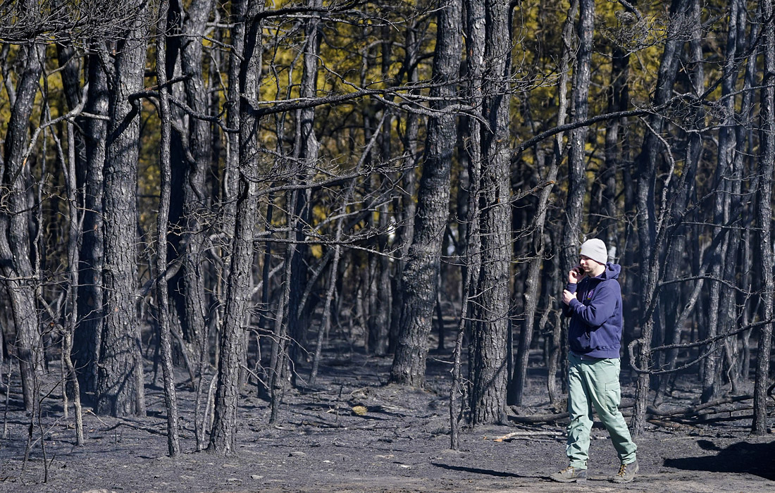 Последствия лесного пожара в Нью-Джерси, США