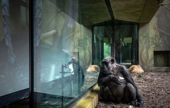 Фотохроника 19 марта