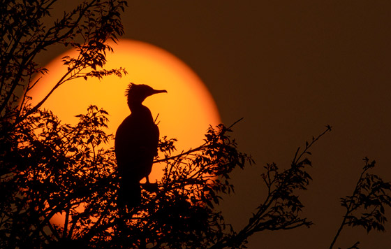 Лучшие фото недели