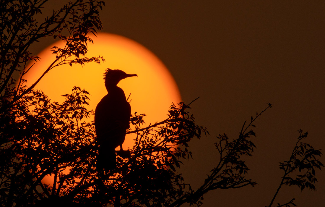 Восход солнца на озере Таудаха на окраине долины Катманду