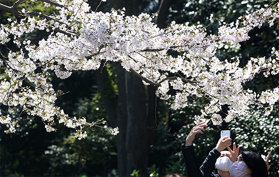 Фотохроника 23 марта